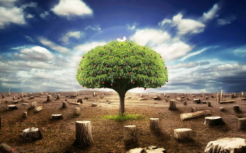 操作臺(tái)環(huán)?？刂剖疽鈭D